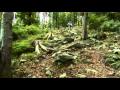 Downhill-Filip Polc
