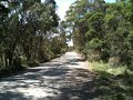 2011 Holden Heaven Channel | Our FC Wagon in NSW Bush