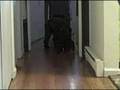 Sep 25 2008 - VID00001