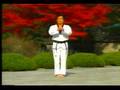 7. Taekwondo Poomsae Taegeuk Chil Jang (WTF)
