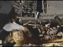 Sum 41 - What Were All About Sum 41 - What Were All About