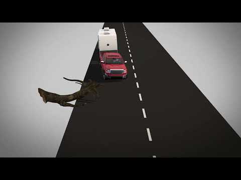 Thumbnail for Enhancing Safety on The Road! Sandpiper uses Lippert Trailer ABS on all 2024 models Video