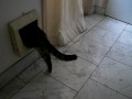Teun can't decide to go out or stay in.
