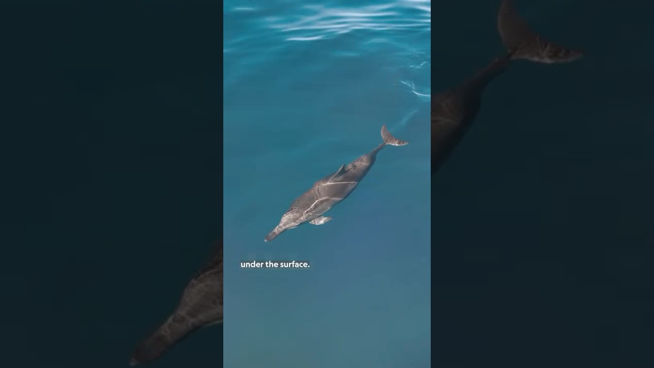 Paid content for argenx