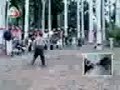 k partia de culo niń0o!!!!!! k partia de culo niń0o!!!!!!