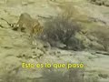 Christian El Leon