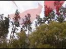 Visual Banderas (Pueblo Nuevo)