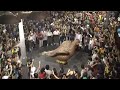Les Santes 2008 - No n\