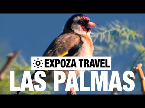 Las Palmas Spain