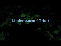 LINDENBAUM (3 tracks)