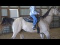 ridin horses