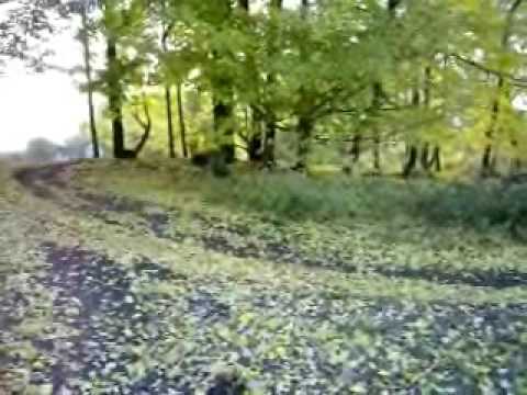 350 warrior 350 warrior