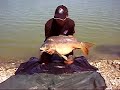 Šaran 16,2kg, Rakitje
