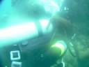 Mandy's eel garden Video
