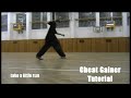 Cheat Gainer Tutorial