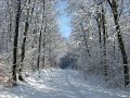 My Pictures - Siegerland/Westerwald - Part III