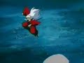 inuyasha goo goo dols