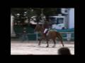lamotte 2008