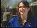 Adopting a PMU Horse.mov Adopting a PMU Horse.mov