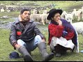 VIDEO PROALPACA