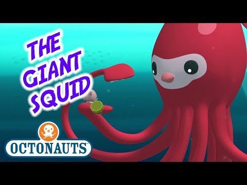 Octonauts - The Giant Squid Thumbnail