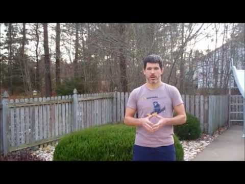 how to assess back pain