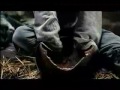 Mountain Dew - Master
