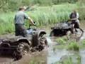grizzly 660 and grizzly 450 mudding