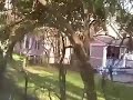 just a little walk around my neighborhood, since paul asked me. :)

music - toccata and fugue performed by vanessa mae; angel theme song.