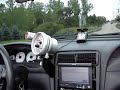 SVT Cobra Listen To The Kenne Bell SVT Cobra Listen To The Kenne Bell
