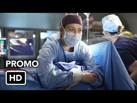 Grey's Anatomy 11x15 Promo