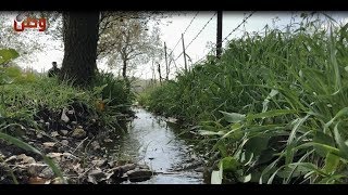 وطن تعود إلى حيفا.. شاهد قرية الخبيزة المهجرة بعد 70 عاما من النكبة!