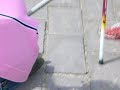 leccia di 26 kg 4/4