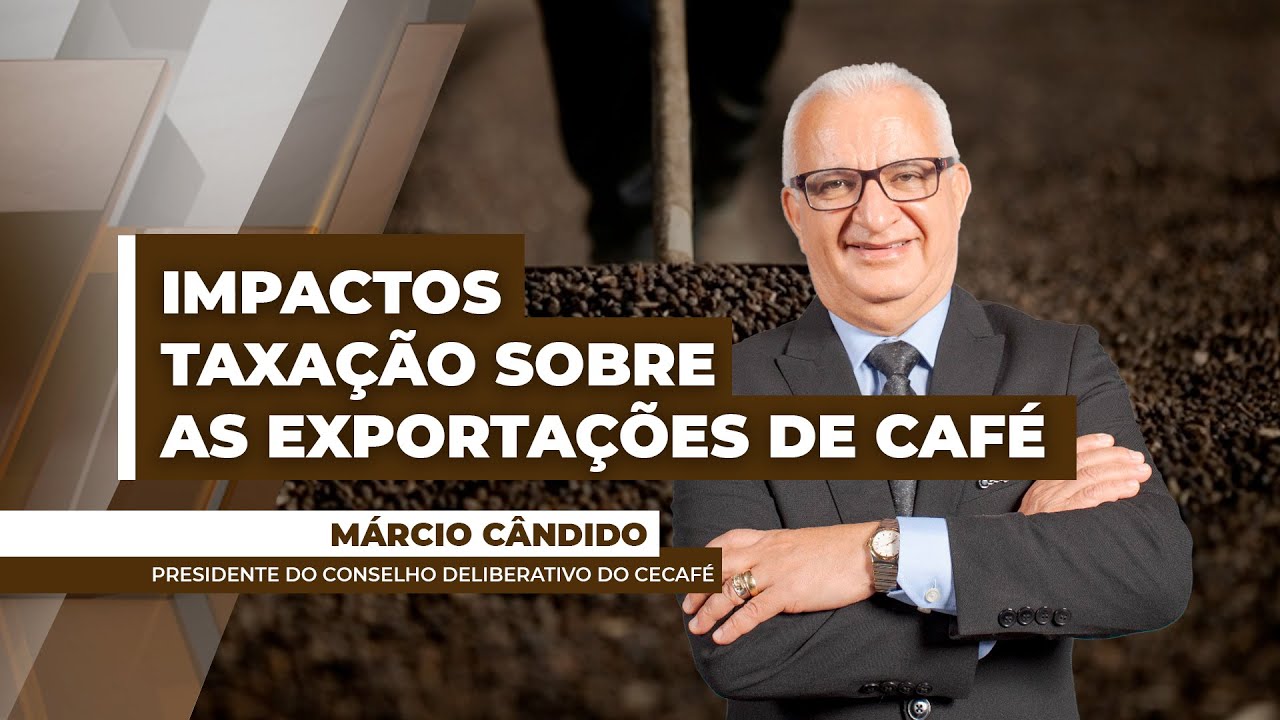 Exportações brasileiras de café para os EUA recuaram aproximadamente 50% no mês de agosto/25