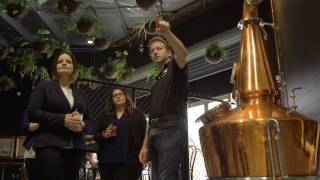 Collins Autumn Market Wrap