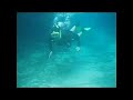 2004 Ginnie Springs