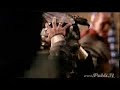 Fernando Alonso - Buckler Ad