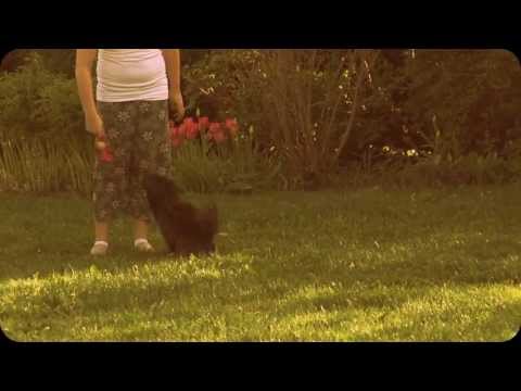 Happy slo-mo, 200 fps, sony fs700