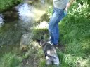 Ko-chan am Hachingerbach