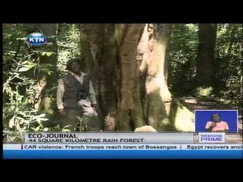 Eco-Journal: Conservation of the country’s forests Eco-Journal: Conservation of the country’s forests