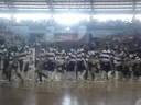 SUCE cheerdance competition CS