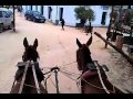 EXCURSIÓN AL ROCÍO 9-4-13 (XI). - YouTube