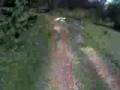Second ride i have this from yesterday-honda crf-250r
