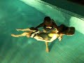 Wasser-Shiatsu bei Heike Deiana-Ruiter
