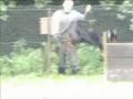 Training - Doberman Cassandra Best Cerber