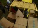 UNICEF Looking to Restore Normalcy to the Lives of...