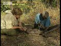 Aboriginal fire starting - ray mears extreme survival - bbc
