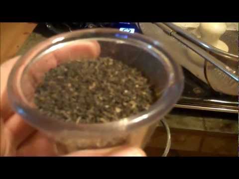 how to collect basil seeds