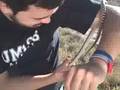 videos de Snake