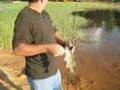 Fishing with top water lures